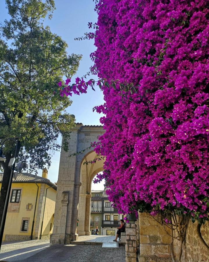 Apartamentos Camparina Llanes Exterior photo